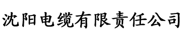 久久久亚洲一区二区三区中文字幕电缆厂logo